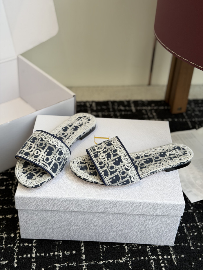 D10r SLIDES DS-0106