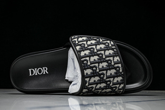 D10r SLIDES DS-092