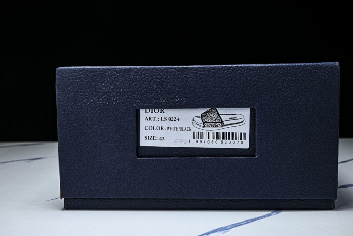 D10r SLIDES DS-092