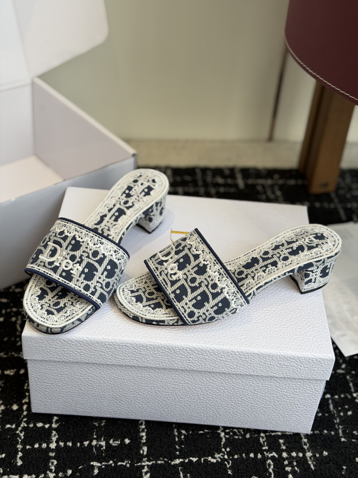 D10r SLIDES DS-0103
