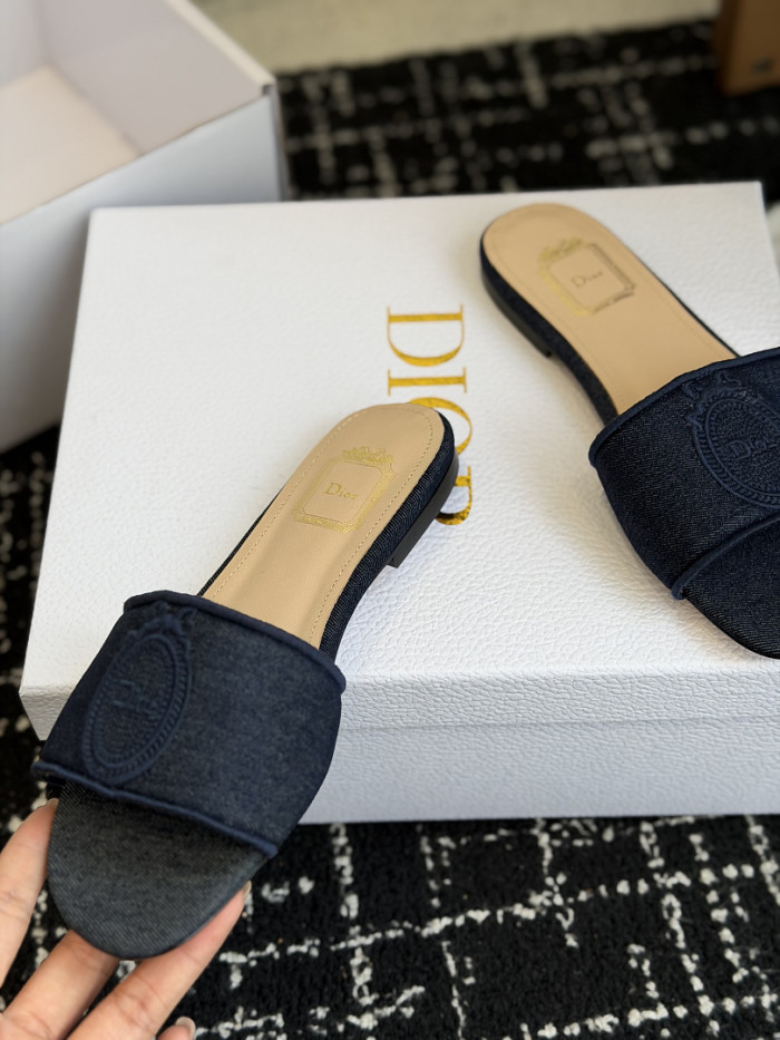 D10r SLIDES DS-0112