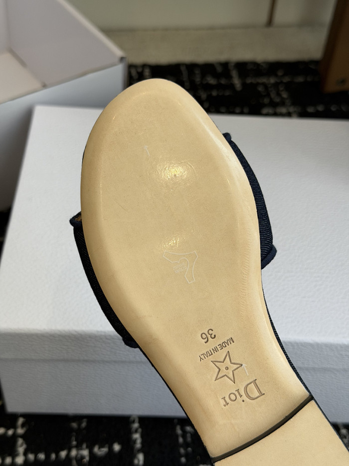 D10r SLIDES DS-0112