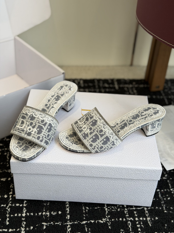 D10r SLIDES DS-0102