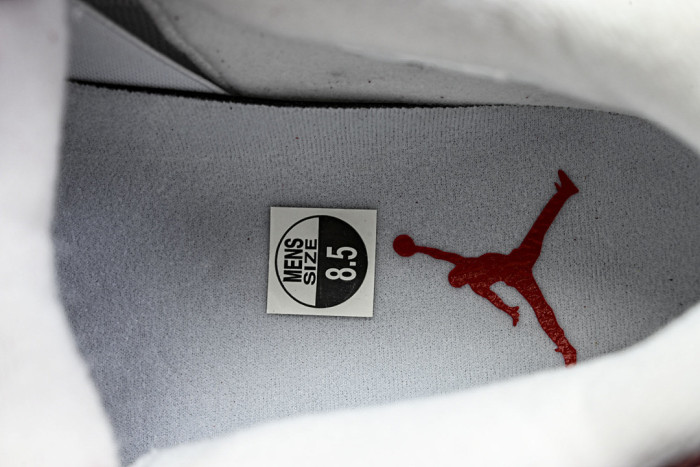 Air Jordan 4 FV5029-600