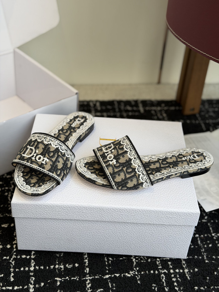 D10r SLIDES DS-0105