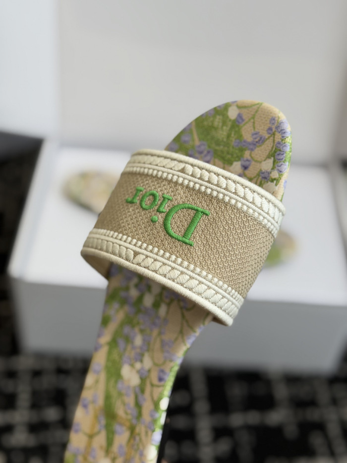 D10r SLIDES DS-0125