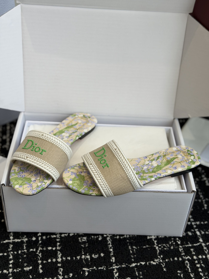 D10r SLIDES DS-0125