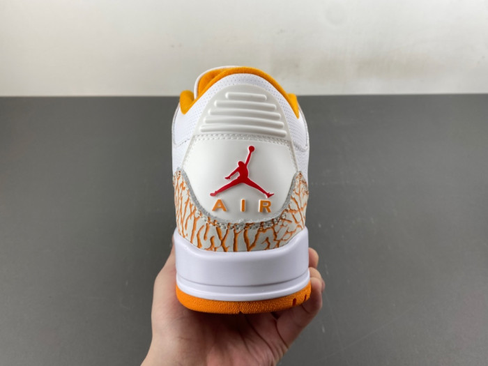 Air Jordan 3 Retro CK9246-101