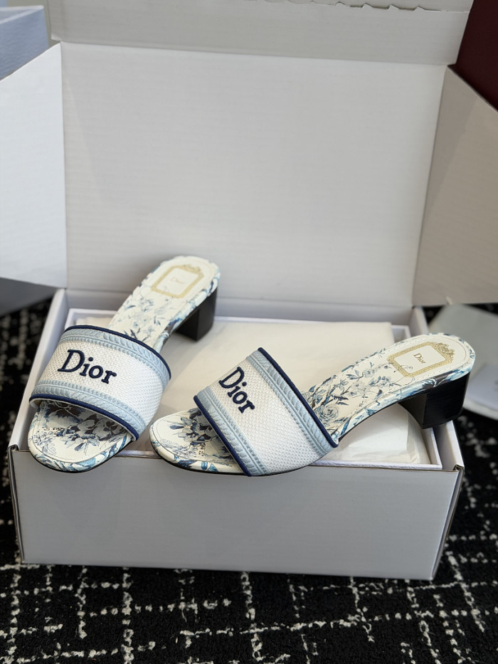 D10r SLIDES DS-0119