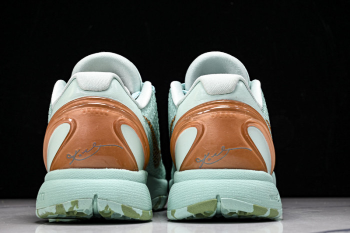 Nike Zoom Kobe 6 PE2025-109
