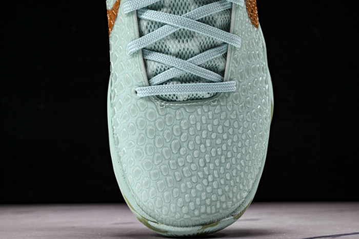 Nike Zoom Kobe 6 PE2025-109
