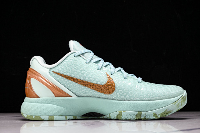 Nike Zoom Kobe 6 PE2025-109