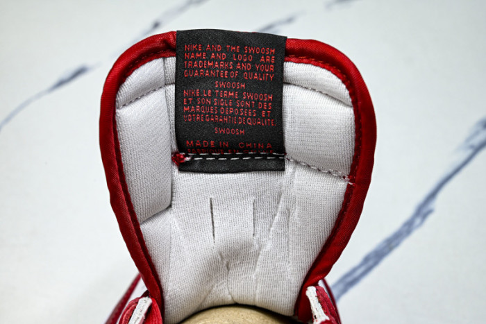 Travis Scott x Air Jordan 1 DM7866-101