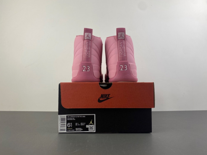 Air Jordan 12 Retro 510815-600