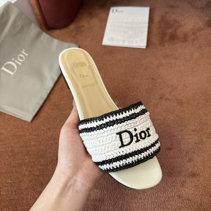 D10r SLIDES DS-0129