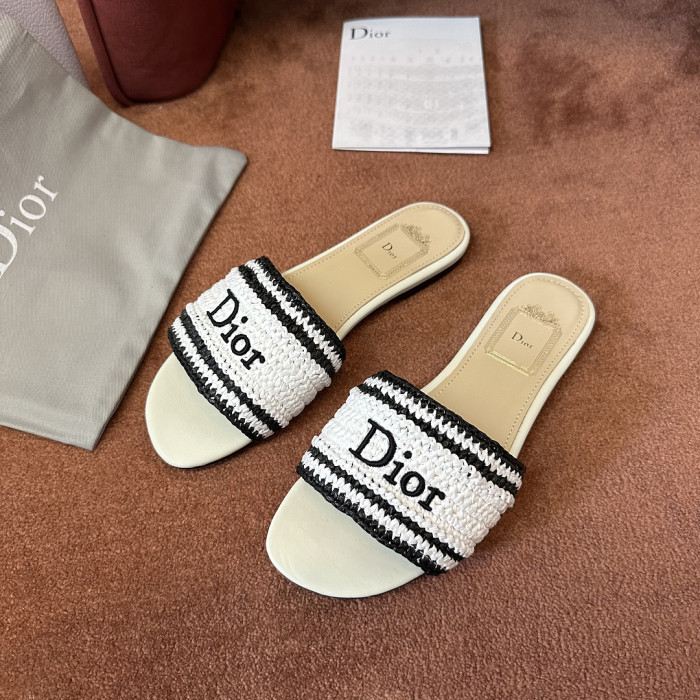 D10r SLIDES DS-0129