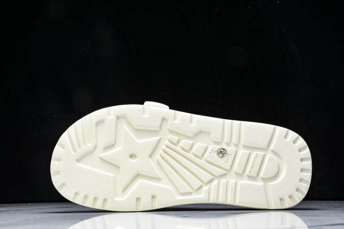 D10r slides ds-079