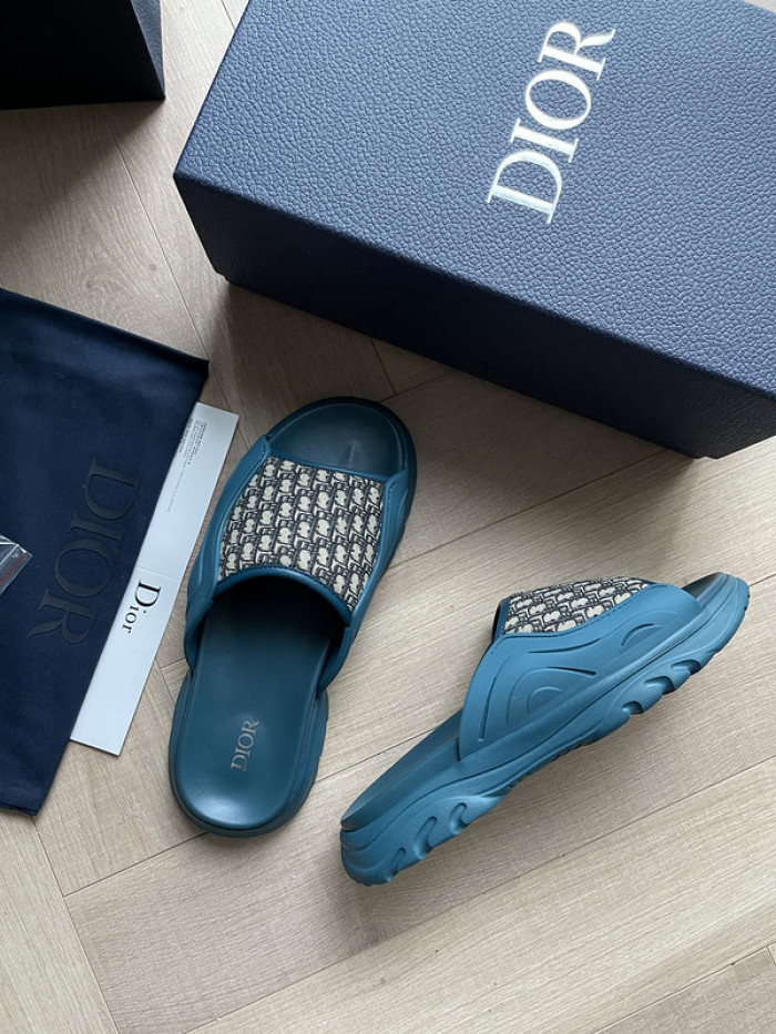 D10r slides ds-047
