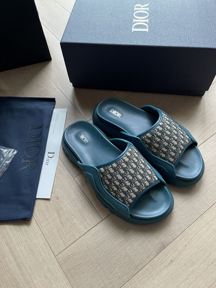 D10r slides ds-047