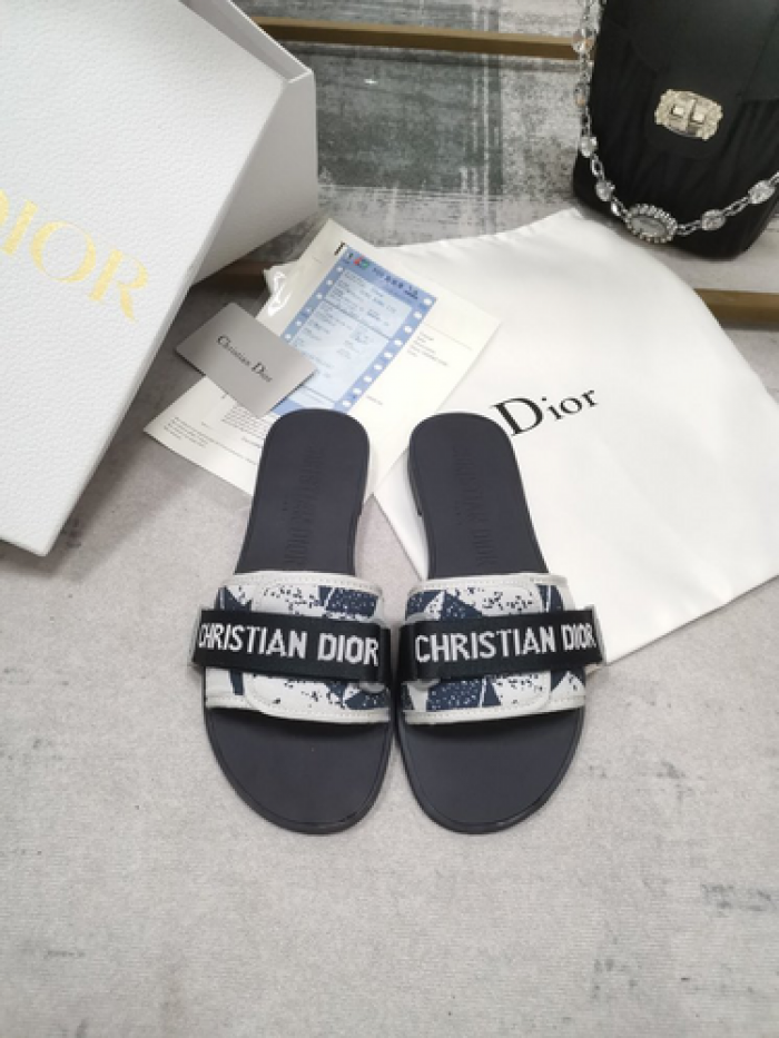 D10r slides ds-029