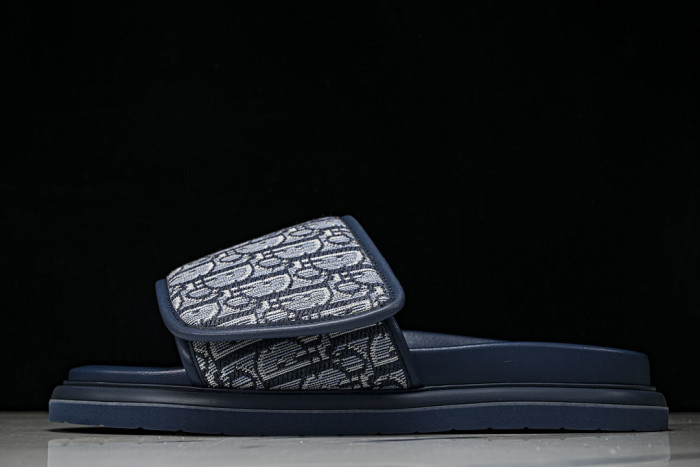 D10r SLIDES DS-091