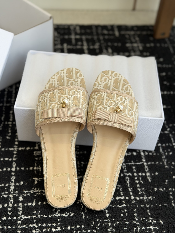 D10r SLIDES DS-0145