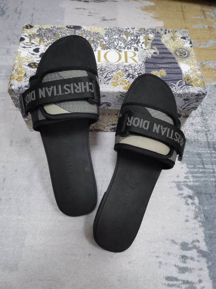 D10r slides ds-041