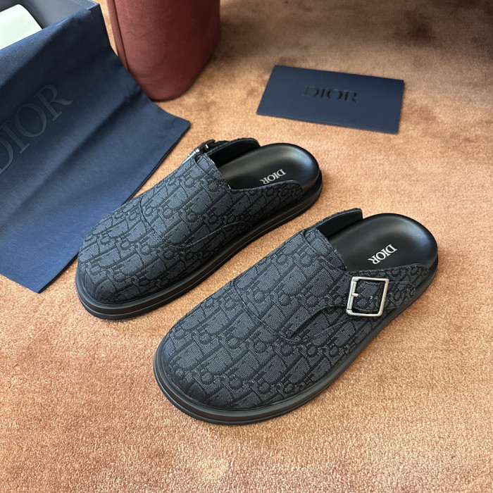 D10r SLIDES DS-0161