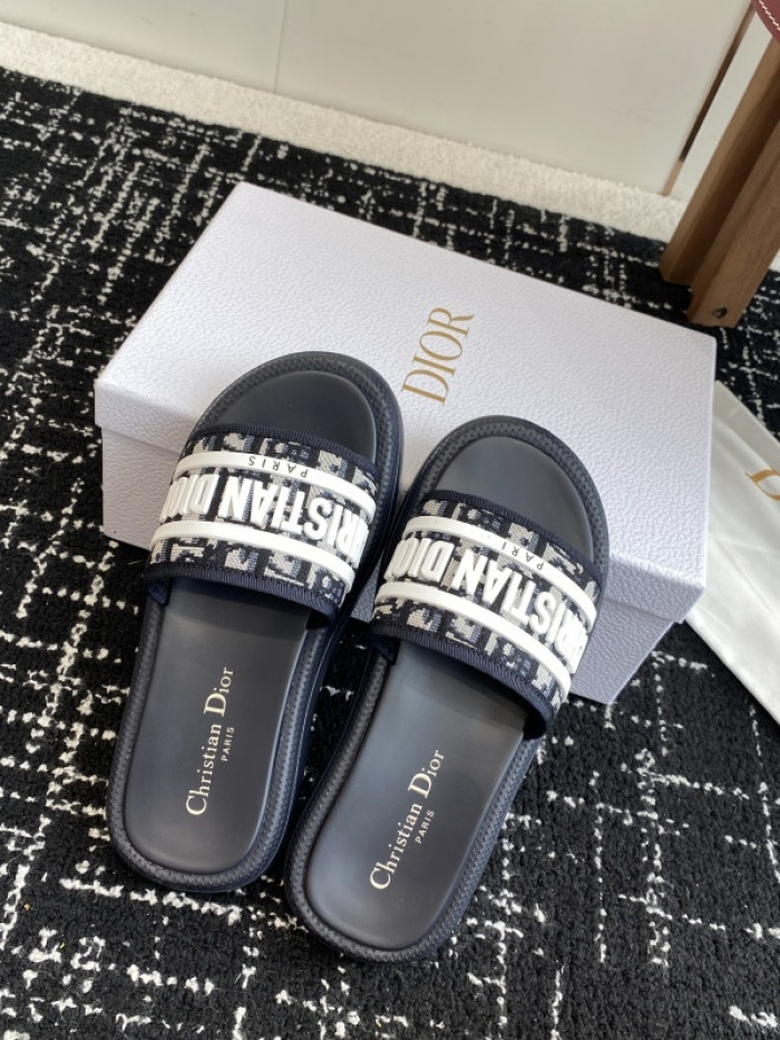 D10r slides ds-088