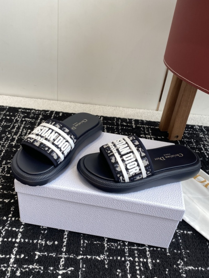 D10r slides ds-088