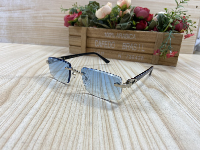GLASSESS CT C-003