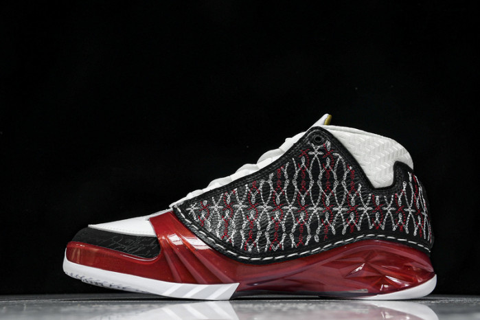 Titan x Air Jordan 23 318376-061