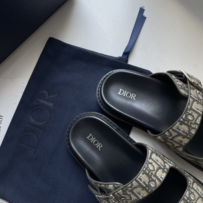 D10r slides ds-051