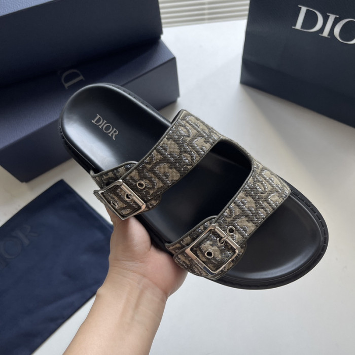 D10r slides ds-051