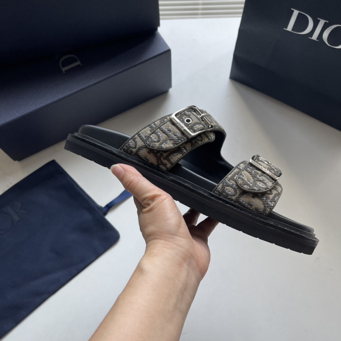 D10r slides ds-051