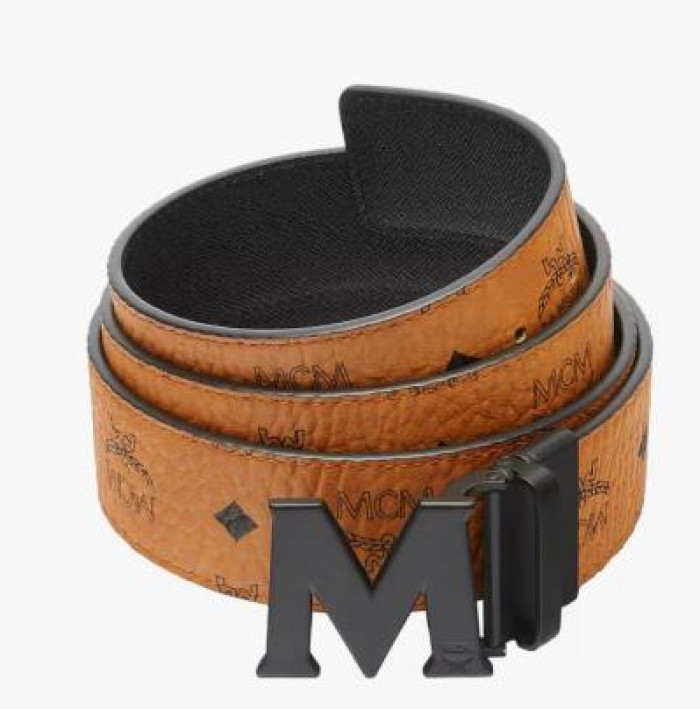 BELTS B-S-015