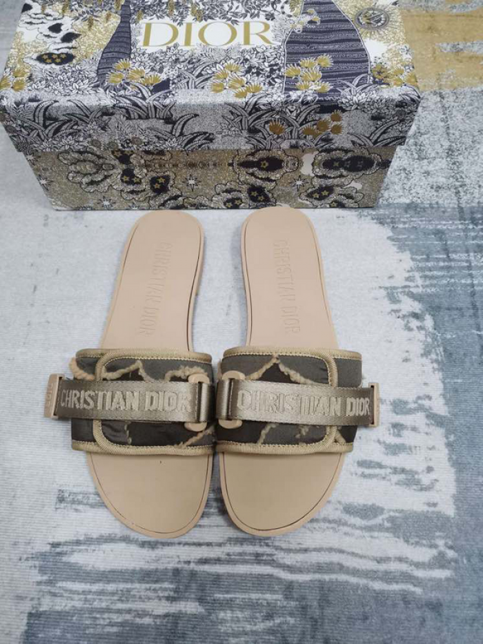 D10r slides ds-038