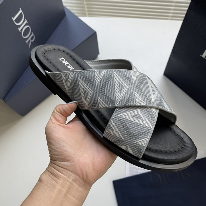 D10r slides ds-042