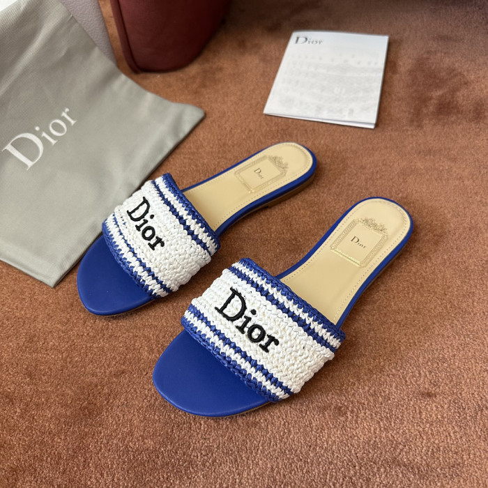 D10r SLIDES DS-0131