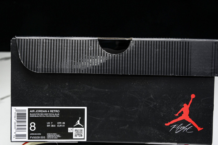 Air Jordan 4 “Rare Air” FV5029-003