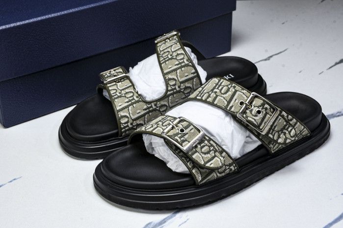 D10r slides ds-060