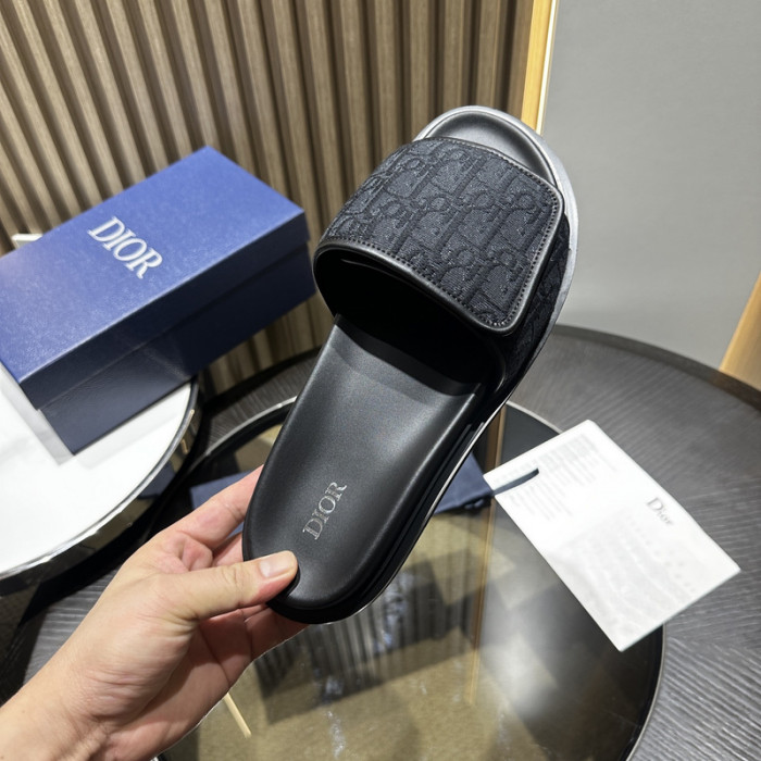 D10r slides ds-053
