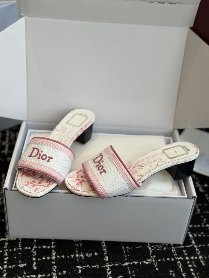 D10r SLIDES DS-0120