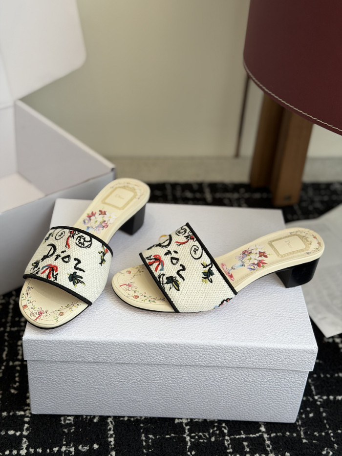 D10r SLIDES DS-0113