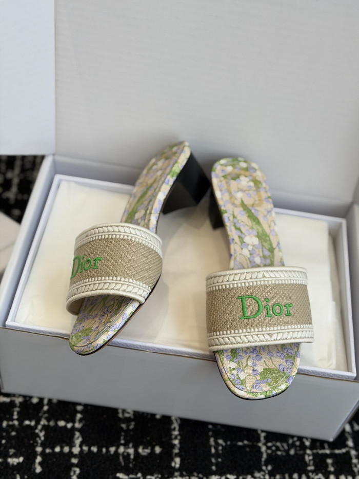 D10r SLIDES DS-0121