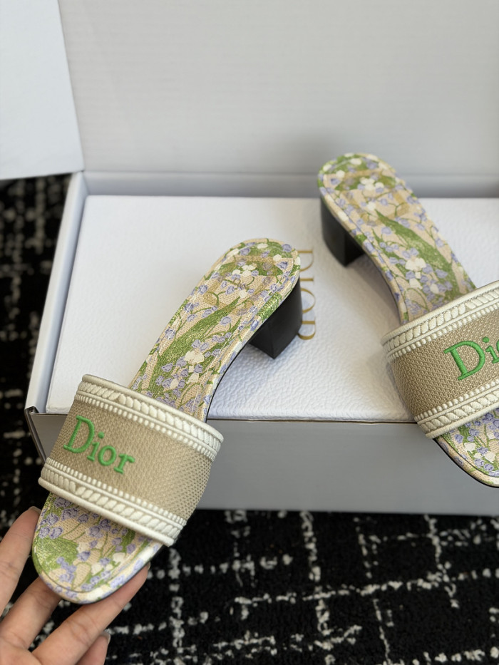 D10r SLIDES DS-0121