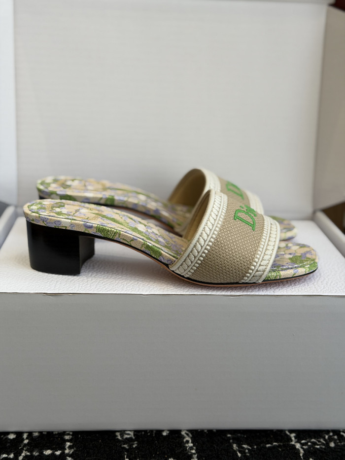 D10r SLIDES DS-0121