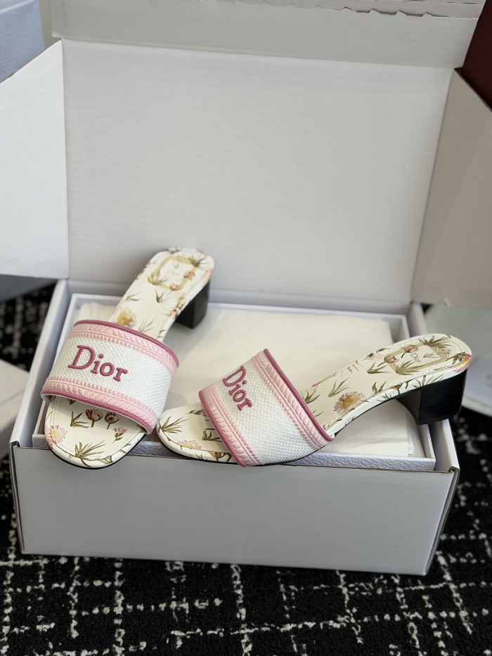 D10r SLIDES DS-0122