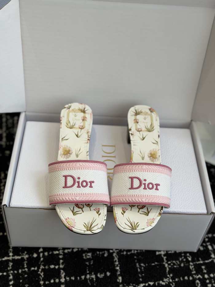 D10r SLIDES DS-0122