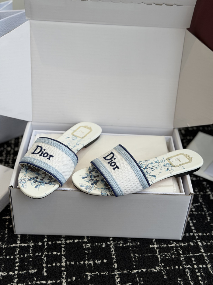 D10r SLIDES DS-0127